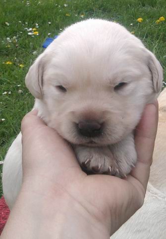 Změněná velikost Fotografie0050