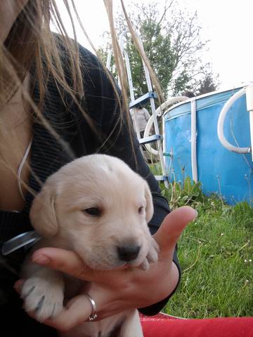 Změněná velikost Fotografie0141